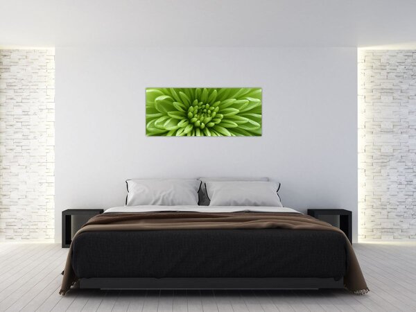 Kép - Makro kép egy növényről (120x50 cm)