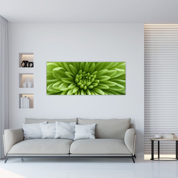 Kép - Makro kép egy növényről (120x50 cm)