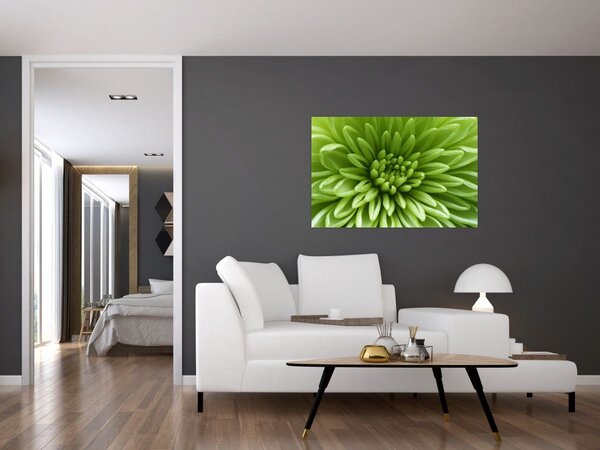 Kép - Makro kép egy növényről (90x60 cm)