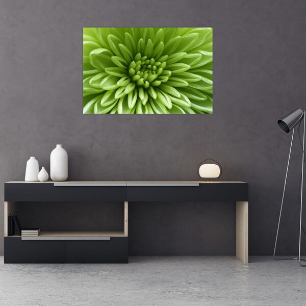 Kép - Makro kép egy növényről (90x60 cm)