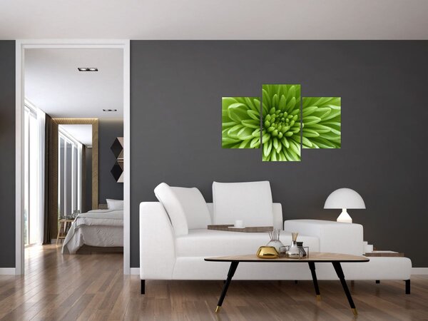 Kép - Makro kép egy növényről (90x60 cm)