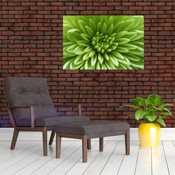 Kép - Makro kép egy növényről (90x60 cm)