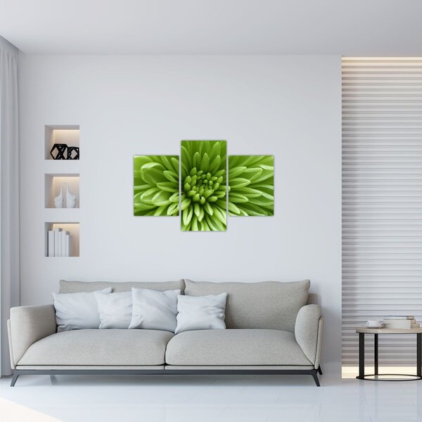 Kép - Makro kép egy növényről (90x60 cm)