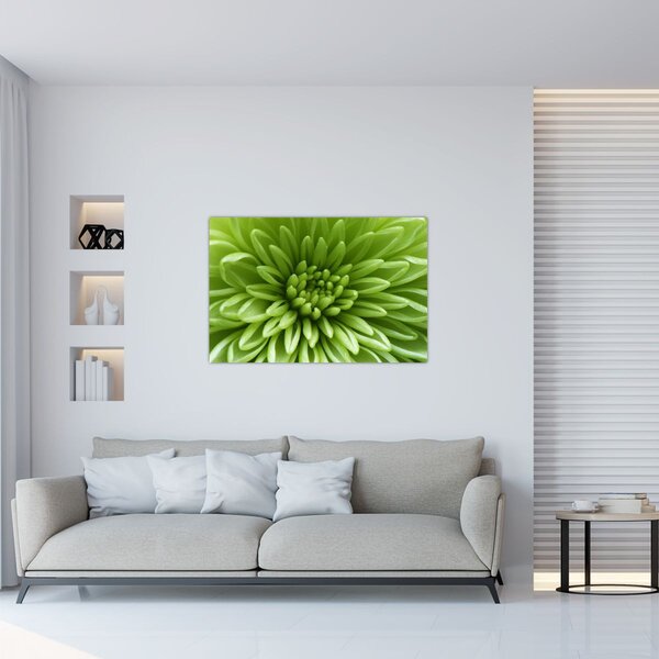 Kép - Makro kép egy növényről (90x60 cm)