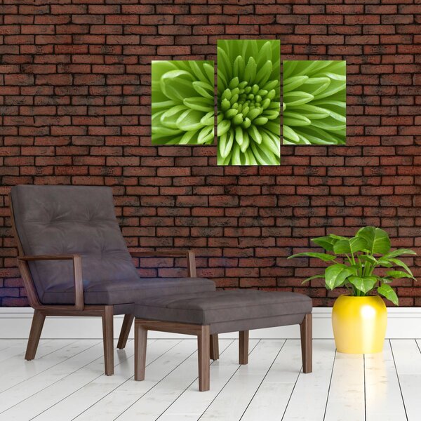 Kép - Makro kép egy növényről (90x60 cm)