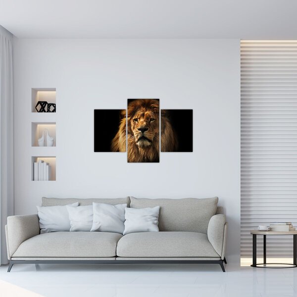 Kép - Dús sörényű oroszlán (90x60 cm)