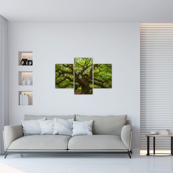 Kép - Zöld fa (90x60 cm)