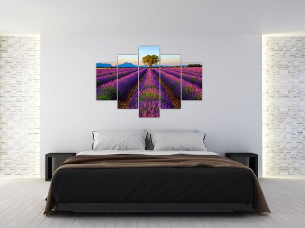 Kép - Levendula mező (150x105 cm)