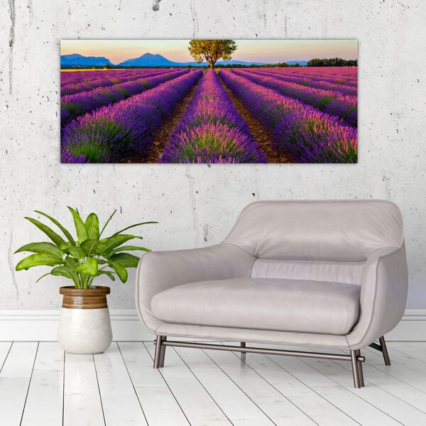 Kép - Levendula mező (120x50 cm)
