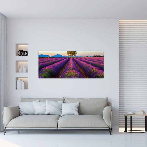 Kép - Levendula mező (120x50 cm)