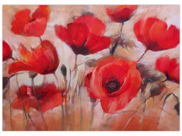 Kép - Farkas mák (70x50 cm)