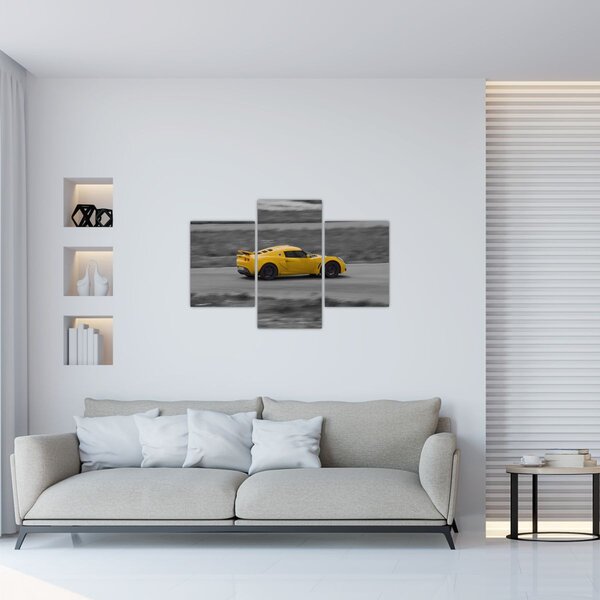 Kép - Gyors autó (90x60 cm)