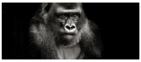 Kép - Gorilla (120x50 cm)