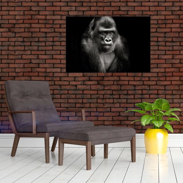 Kép - Gorilla (90x60 cm)