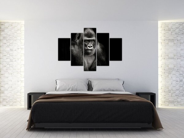 Kép - Gorilla (150x105 cm)