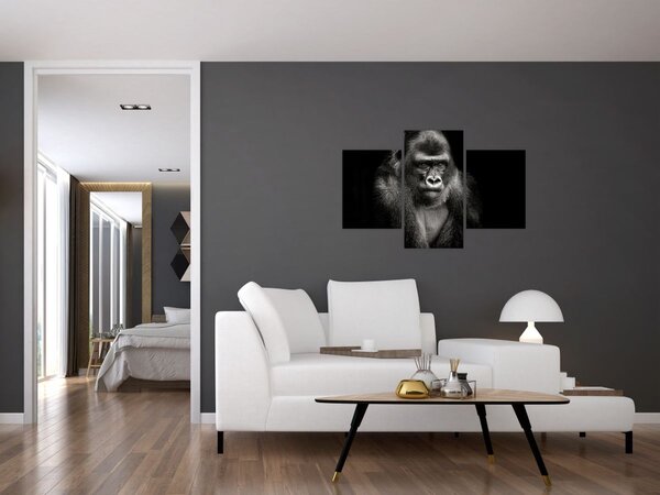 Kép - Gorilla (90x60 cm)