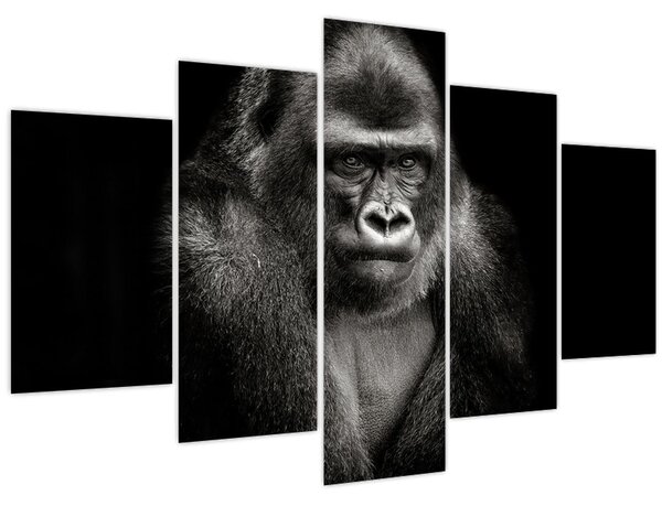 Kép - Gorilla (150x105 cm)