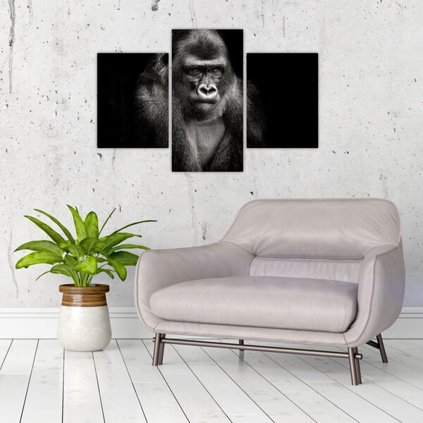 Kép - Gorilla (90x60 cm)