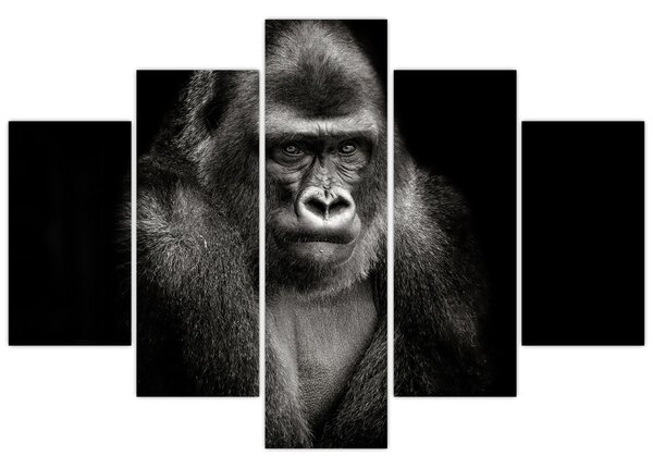 Kép - Gorilla (150x105 cm)