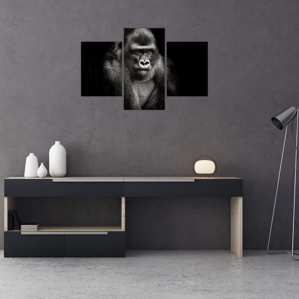 Kép - Gorilla (90x60 cm)