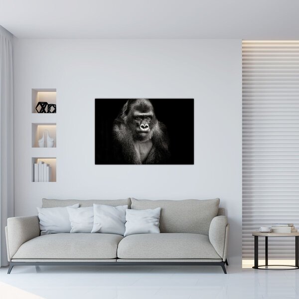 Kép - Gorilla (90x60 cm)