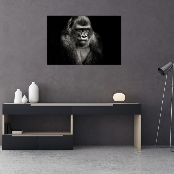 Kép - Gorilla (90x60 cm)