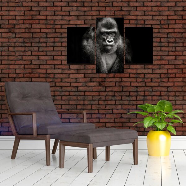 Kép - Gorilla (90x60 cm)