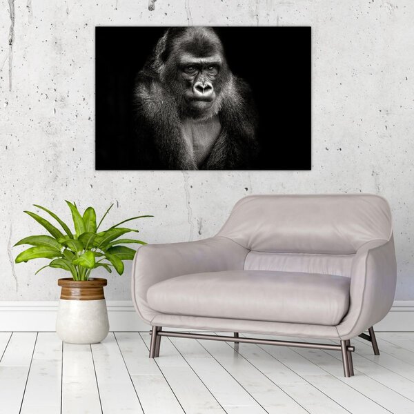 Kép - Gorilla (90x60 cm)