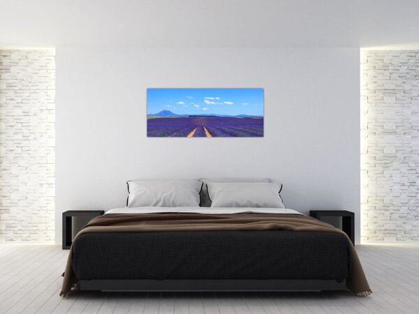 Kép - Levendula mező (120x50 cm)