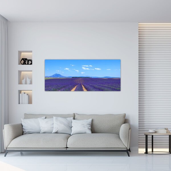 Kép - Levendula mező (120x50 cm)
