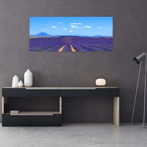 Kép - Levendula mező (120x50 cm)