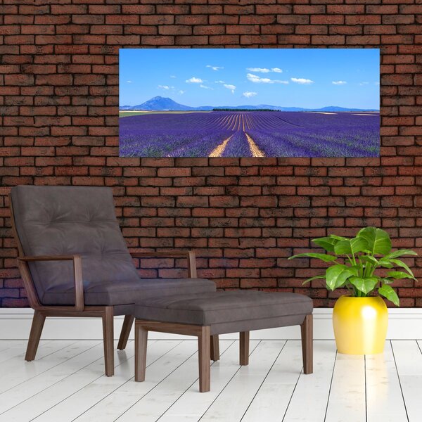 Kép - Levendula mező (120x50 cm)