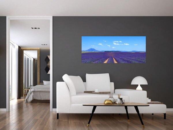 Kép - Levendula mező (120x50 cm)