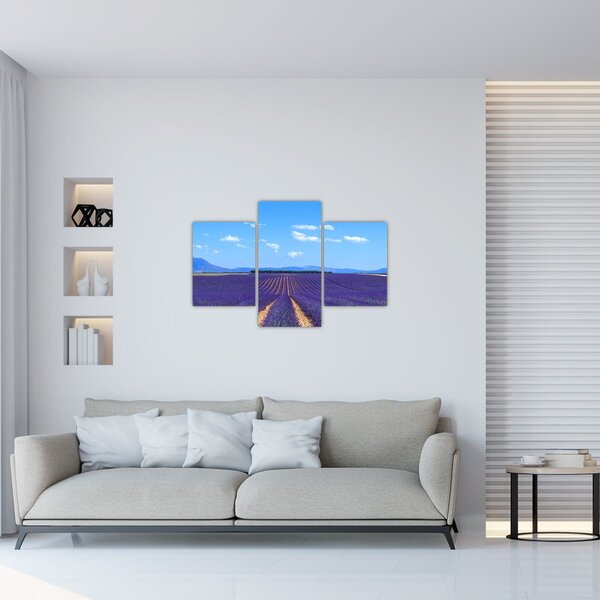 Kép - Levendula mező (90x60 cm)