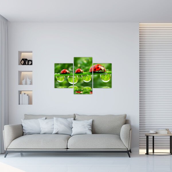 Kép - A hét nap napfénye (90x60 cm)