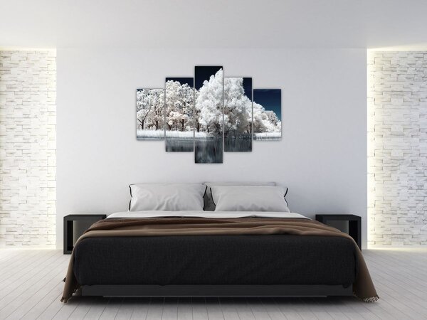 Kép - Hófehér fák (150x105 cm)