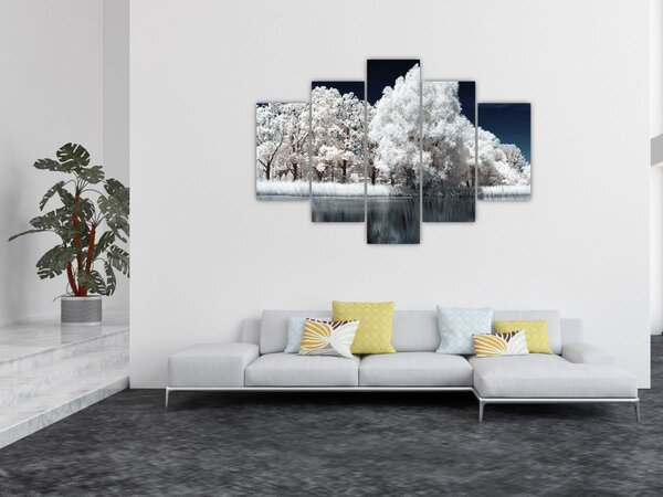 Kép - Hófehér fák (150x105 cm)