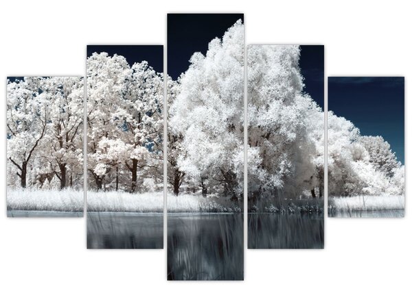 Kép - Hófehér fák (150x105 cm)