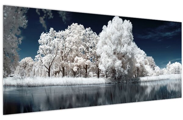 Kép - Hófehér fák (120x50 cm)