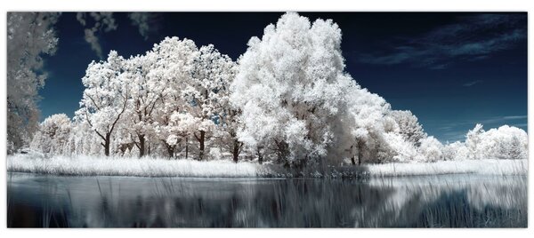 Kép - Hófehér fák (120x50 cm)