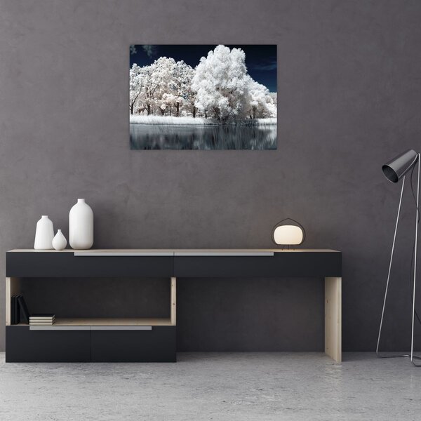 Kép - Hófehér fák (70x50 cm)