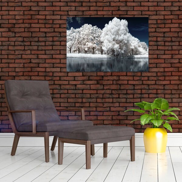 Kép - Hófehér fák (90x60 cm)