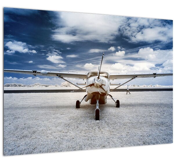 Egy motoros repülőgép képe (70x50 cm)