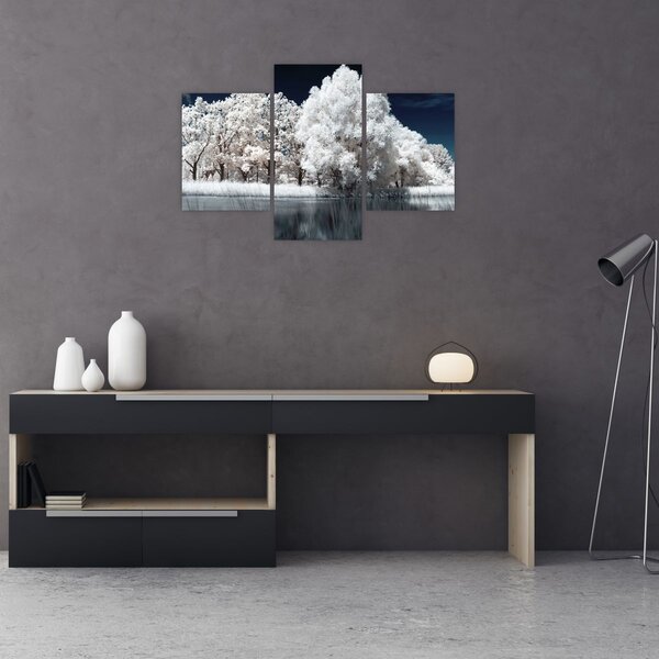 Kép - Hófehér fák (90x60 cm)