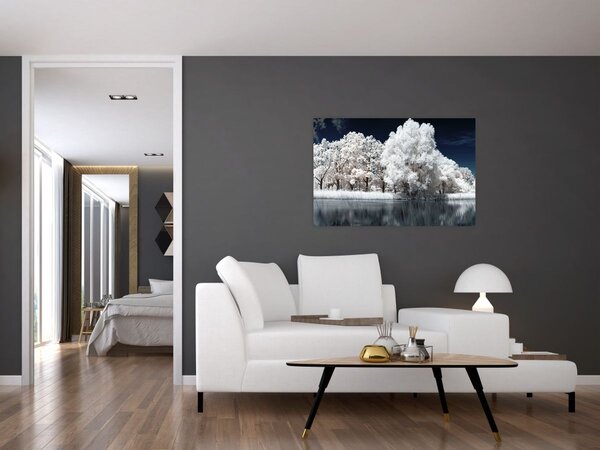 Kép - Hófehér fák (90x60 cm)