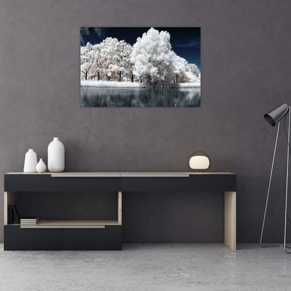 Kép - Hófehér fák (90x60 cm)
