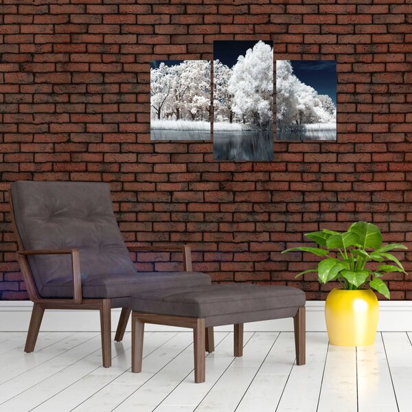Kép - Hófehér fák (90x60 cm)
