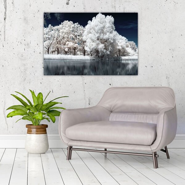 Kép - Hófehér fák (90x60 cm)