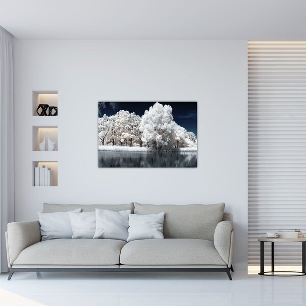 Kép - Hófehér fák (90x60 cm)