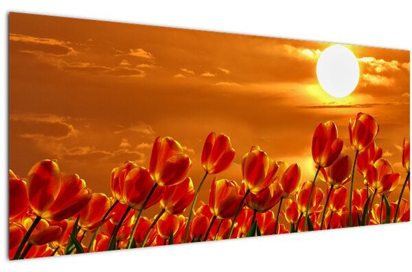 Kép egy virágzó mező tulipánokkal (120x50 cm)